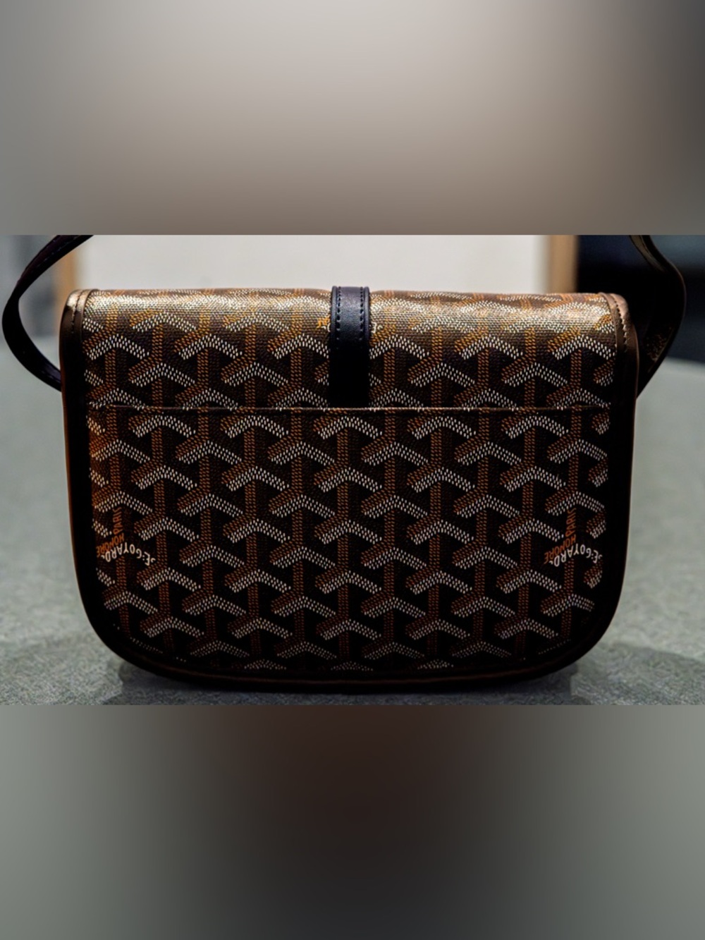 Goyard Belvedere - Picture 3 of 5